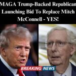 MAGA Republican Launching Bid To Replace Mitch McConnell