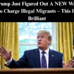 Trump Just Figured Out A NEW Way to Charge Illegal Migrants – This Is Brilliant