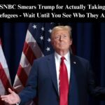 MSNBC Smears Trump for Taking in Refugees; Look Who They Are