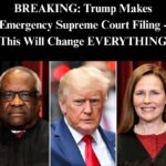 Trump Admin Asks Supreme Court To Step In On DOGE Case