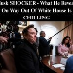 Musk Unveils 5 Most Outrageous Findings Of DOGE Team