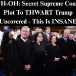 Legal Expert Accuses Chief Justice Roberts Of ‘Judicial Sabotage’ Against Trump