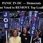 DNC Panel Votes To Void David Hogg As Vice Chairman