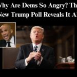 Why Are Dems So Angry? This New Trump Poll Reveals It All