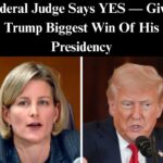 Federal Judge Allows Trump To Use IRS Data To Track Down Illegal Immigrants