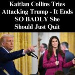 CNN’s Collins Tries Attacking Trump, It Backfires In Spectacular Fashion