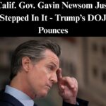Trump Admin Launching Probe Into Whether Calif. Used Federal Funds For Illegal Migrants
