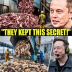 Elon Musk Exposes The Truth: 7 Everyday Products You’Ll Stop Buying Once You Learn What’S Inside!
