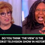 Fox News Star ‘Turned Down’ Offer To Replace Meghan McCain On ‘The View’: Report