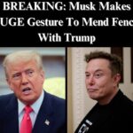 Musk Deletes X Post Accusing Trump Of Being In ‘Epstein Files’