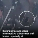 shows moment LAPD trample man with horses repeatedly at anti-ICE protests
