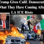 Immigrant Voters Overwhelmingly Support Trump, Republicans On Enforcement