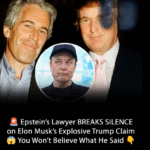 Elon Musk Sparks Storm Linking Trump to Epstein