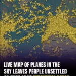 A recent Flight Radar24 map showing global air traffic has gone viral for resembling a skull due to four large gaps in airspace