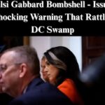 DNI Gabbard Says Washington Post Reporter ‘Harrassing’ Intel Agents