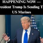 Trump Admin Sending Hundreds of Marines to Florida to Help ICE