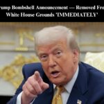 Trump Signs Order to Remove Homeless From Streets, Into Treatment Centers