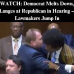 Democrat Politician Melts Down, Lunges At Republican In Stunning Clip