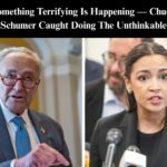 Schumer May Let Govt Shut Down As ‘Struggling’ Dems Want To Appease Far-Left