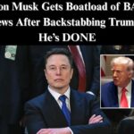 Investment Firm To Pull Funds From Tesla Over Musk’s New Political Party