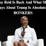 SEE IT: Joy Reid Loses It Over Trump’s Tour Of ‘Concentration Camp’