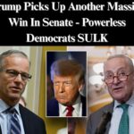 Trump’s Early Pick To Replace Obama Judge Confirmed