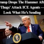 Trump Gives New Orders After ‘Thugs’ Attack ICE Agents
