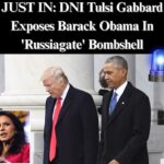 DNI Gabbard Releases Declassified Doc Implicating Obama In ‘Russian Collusion’ Hoax