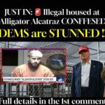 JUST IN: Illegal housed at Alligator Alcatraz CONFFESED DEMS are STUNNED !!