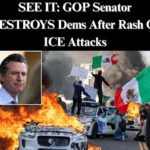 GOP Senator Blasts Dems After Latest Armed Attack Against ICE Agents