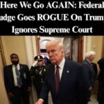 Federal Judge Reimposes Nationwide Injunction Regarding Birthright Citizenship