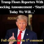 Trump Announces Major U.S. Weapons Deal With NATO
