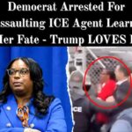 House Republican Motions to Censure, Remove Democrat Charged In ICE Confrontation