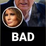 Scrutiny Over Melania Trump’s ‘Einstein Visa’