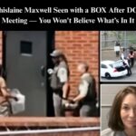 Maxwell Returns to Prison With Mystery Box After Trump DOJ Meeting