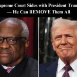 Supreme Court Sides With Trump On Firing of Three Democrat Appointees