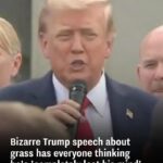 Bizarre Trump speech about grass has everyone thinking he’s ‘completely lost his mind’