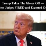 Trump Clearing Immigration Courts as ‘Judicial Swamp’ Facing The Music