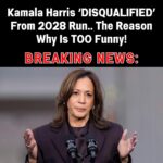 Carville Says Kamala Harris Has No Path to 2028 Following Failed Presidential Bid
