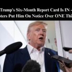 Poll: Voters Want Trump To Do More To Drain The Swamp