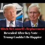 Efforts To Replace Mitch McConnell Hits A Speedbump