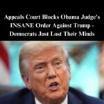 Appeals Court Blocks Obama Judge’s Order To Close ‘Alligator Alcatraz’ In Everglades