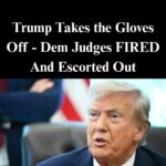 Trump Admin Dismisses Another Immigration Judge in San Fransciso