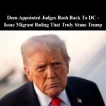 Appeals Court Upholds Trump’s Power To Reverse Biden Migrant ‘Parole’