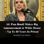 New York Democrat Arrested For Interferring With ICE Agents