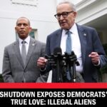 Shutdown Exposes Democrats’ True Love: Illegal Aliens