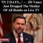 JD Vance Unleashes Warning to Rogue Judges