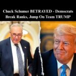 Group of Dems Continue To Side With Republicans, Want Govt. Reopened