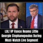 Vance Gives George Stephanopoulos The Business For Refusing to Discuss ‘Schumer Shutdown’