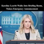 Leavitt Torches Kaitlan Collins Over Trump’s Portland Plan: ‘Go See It For Yourself’